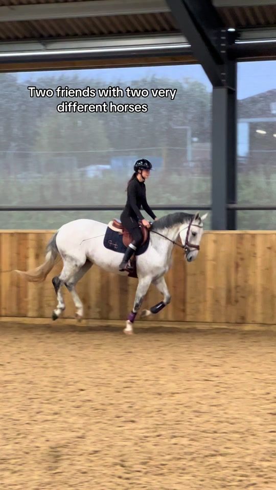 TikTok video thumbnail by pbequestrian