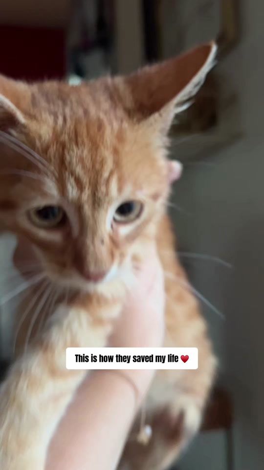 TikTok video thumbnail by deaxchats