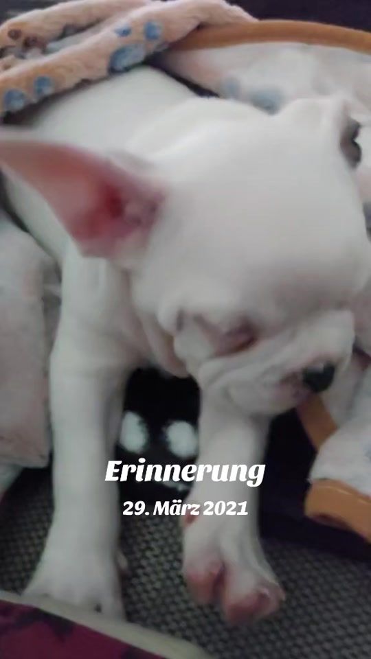 TikTok video thumbnail by alexandra91176