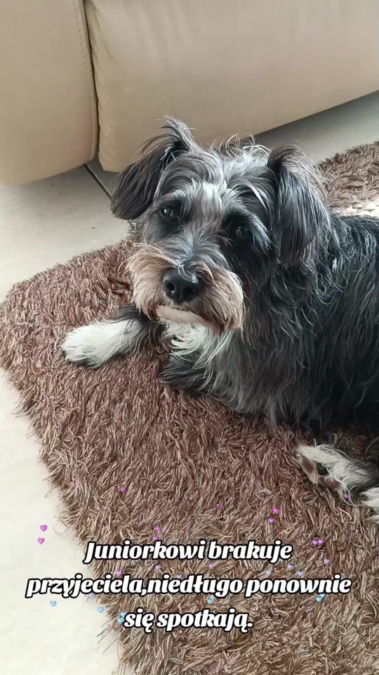TikTok video thumbnail by iwka.pol111