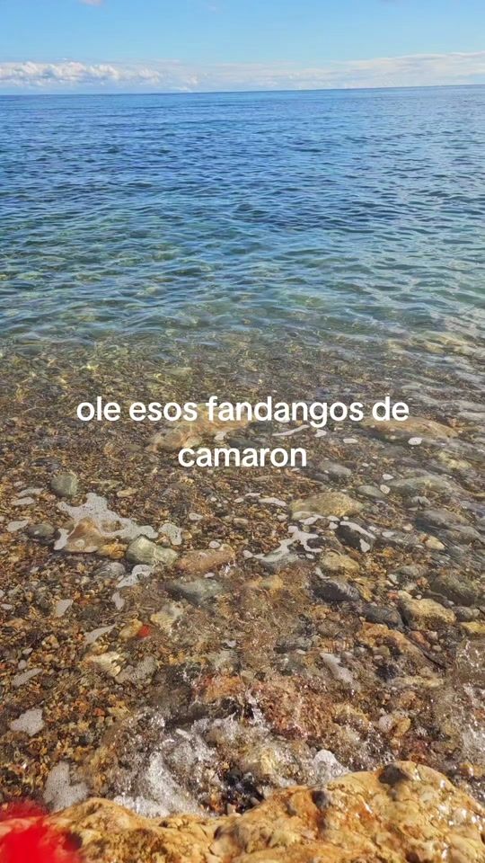 TikTok video thumbnail by vivecadamomento7