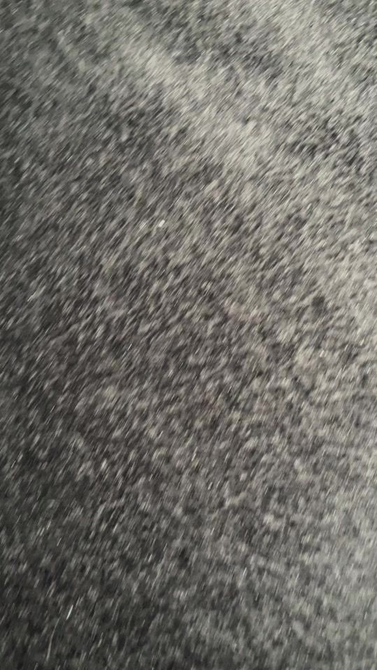 TikTok video thumbnail by j.kells_