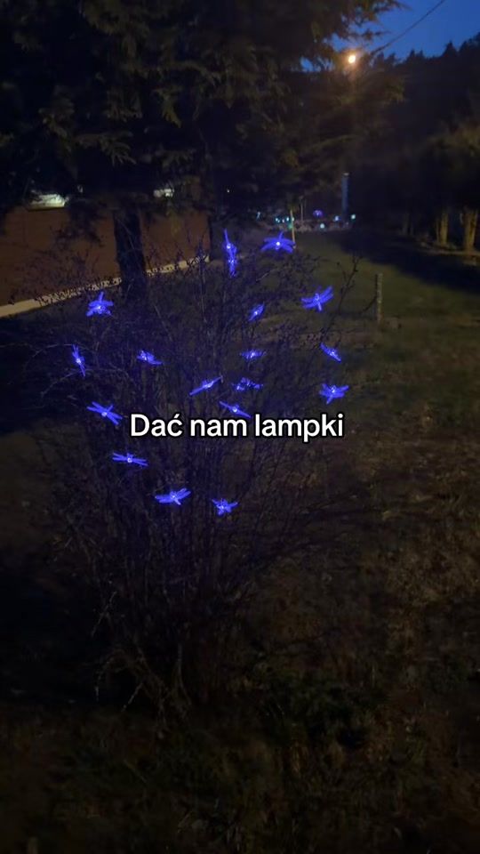 TikTok video thumbnail by littlemouse99