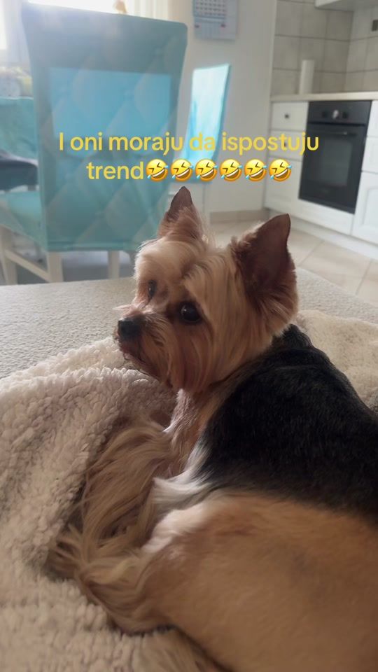 TikTok video thumbnail by ninamatosovic