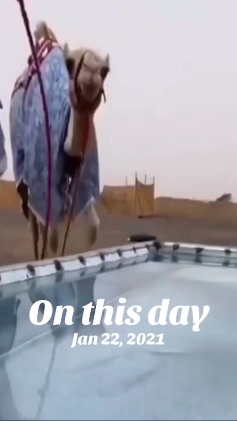 TikTok video thumbnail by hrh.alii