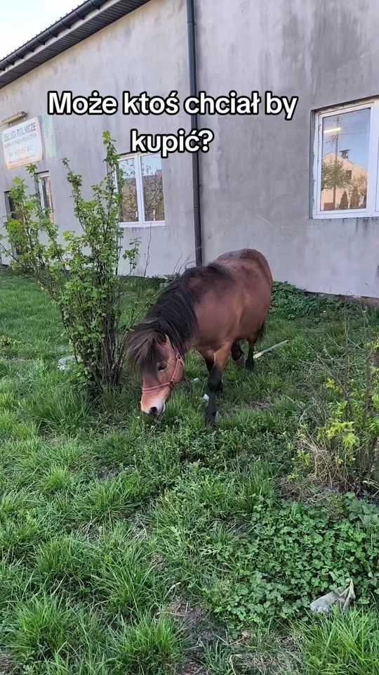TikTok video thumbnail by justyna_maciorowska