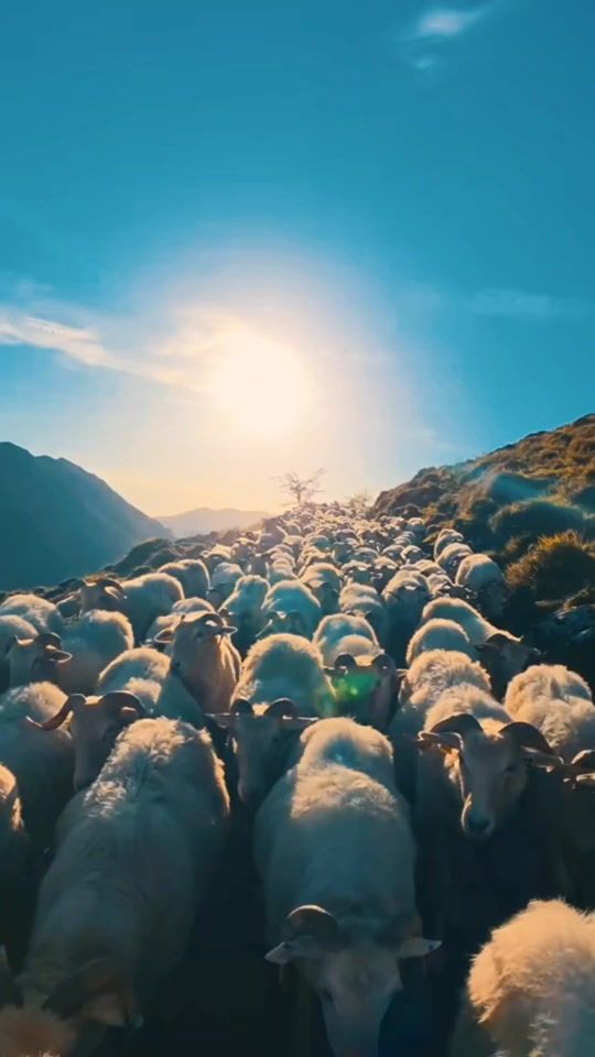 TikTok video thumbnail by hadzibeg_prvi