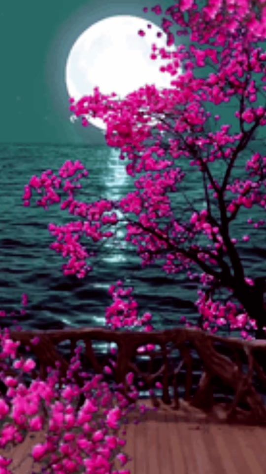 TikTok video thumbnail by booboobish2