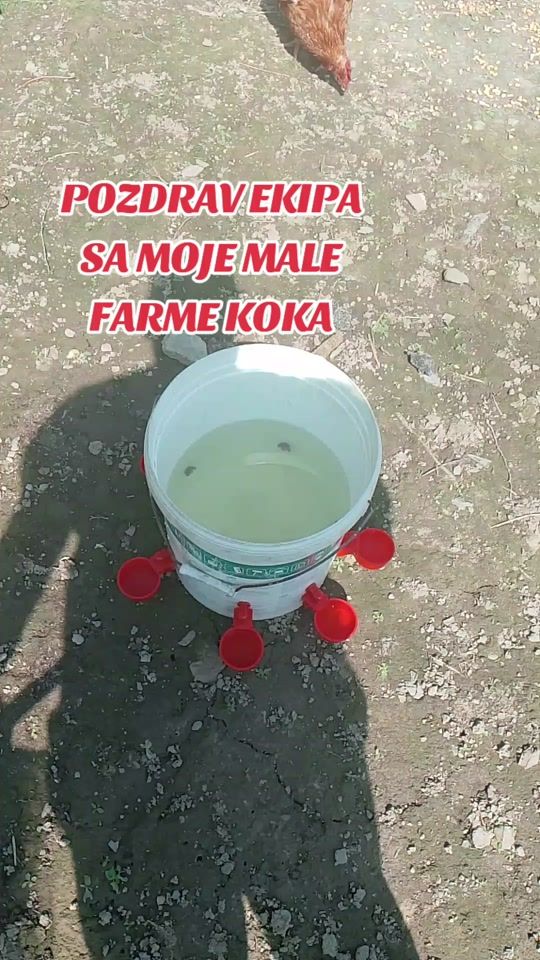 TikTok video thumbnail by donxbalkana