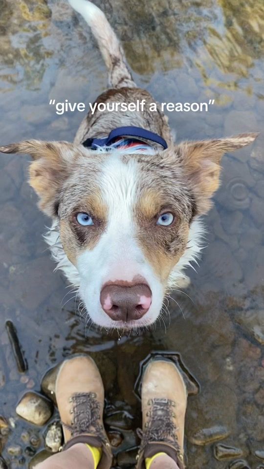 TikTok video thumbnail by lau.explores