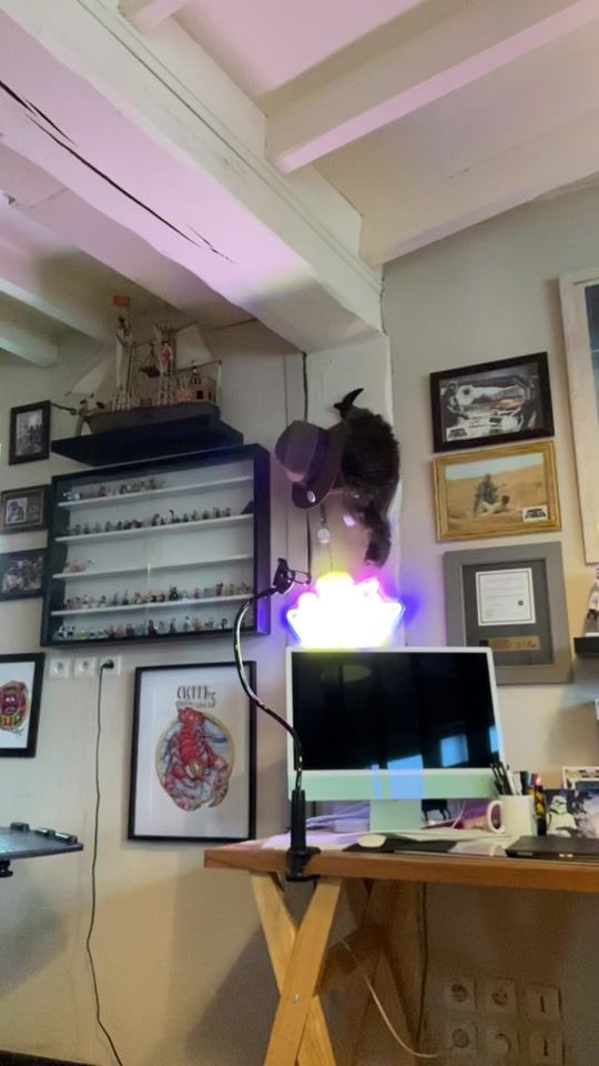 TikTok video thumbnail by lesenfantsduvinyle