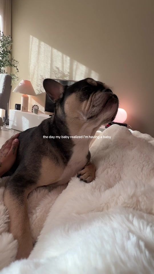 TikTok video thumbnail by lisaonuoha