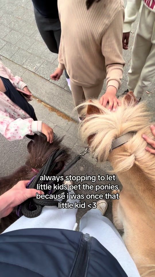 TikTok video thumbnail by equestrian.warre