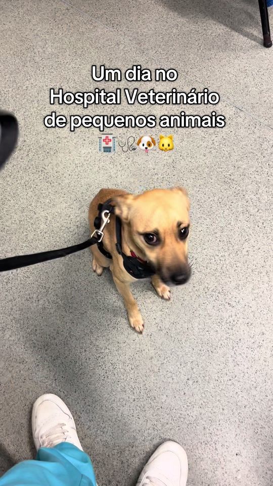 TikTok video thumbnail by martimsilva17_
