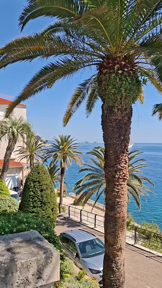 TikTok video thumbnail by jale7777777