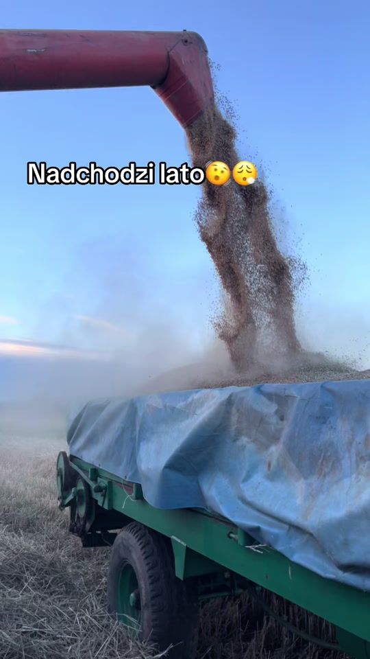 TikTok video thumbnail by banka2445_