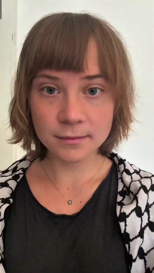 TikTok video thumbnail by gretthunberg