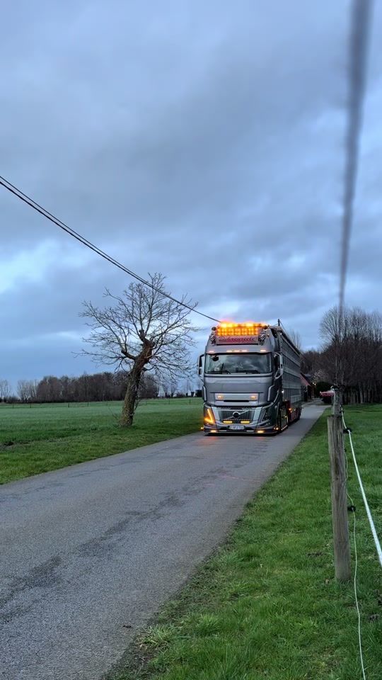 TikTok video thumbnail by nielske2007