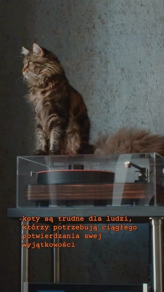 TikTok video thumbnail by jarecki_sp2