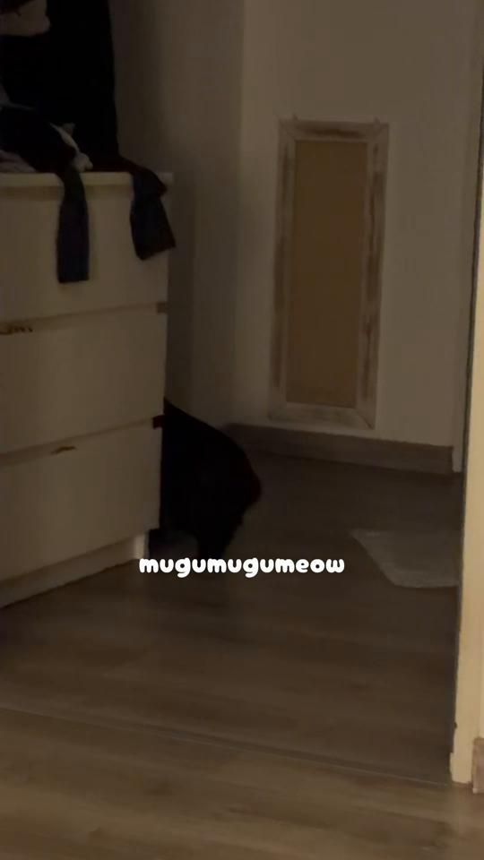 TikTok video thumbnail by mugumeow