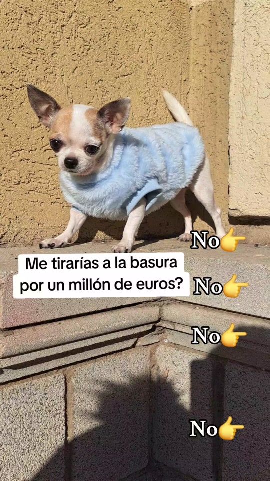 TikTok video thumbnail by rocio.82