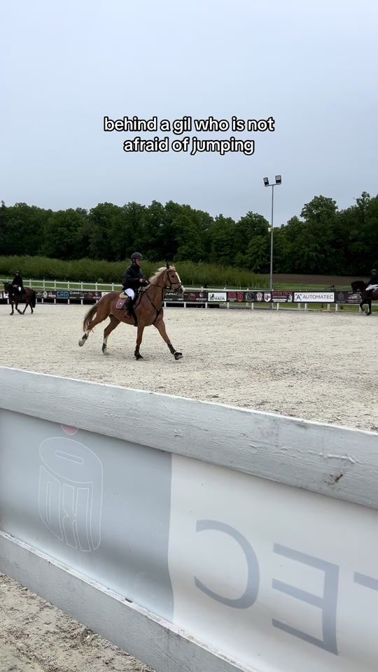 TikTok video thumbnail by drobna.equestrian