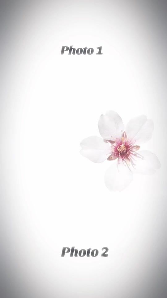 TikTok video thumbnail by chad_k0
