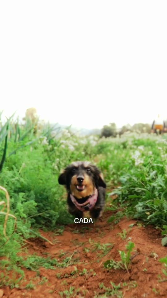 TikTok video thumbnail by mireiafeme.ugc