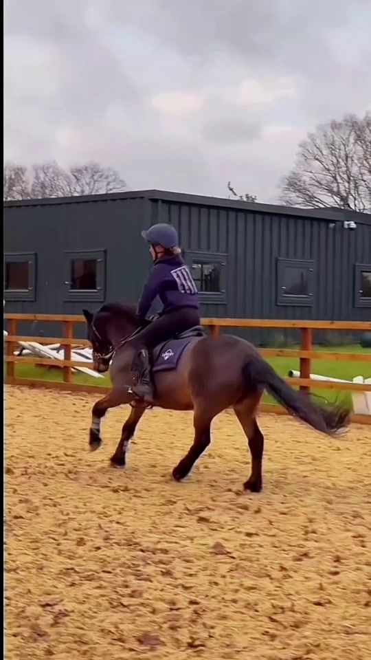 TikTok video thumbnail by harlowandthesevenponies