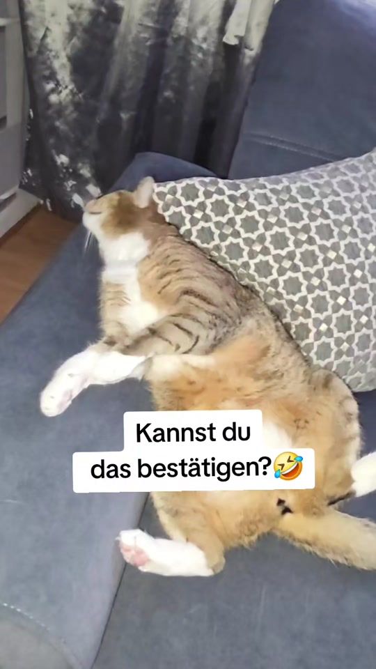 TikTok video thumbnail by marina.jmi