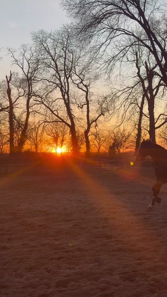 TikTok video thumbnail by hafiporsche