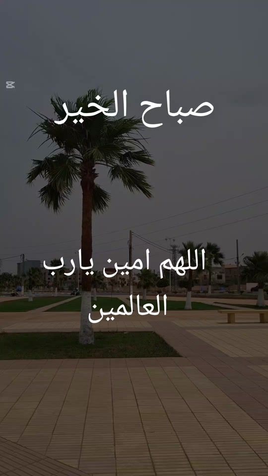 TikTok video thumbnail by www.guercif