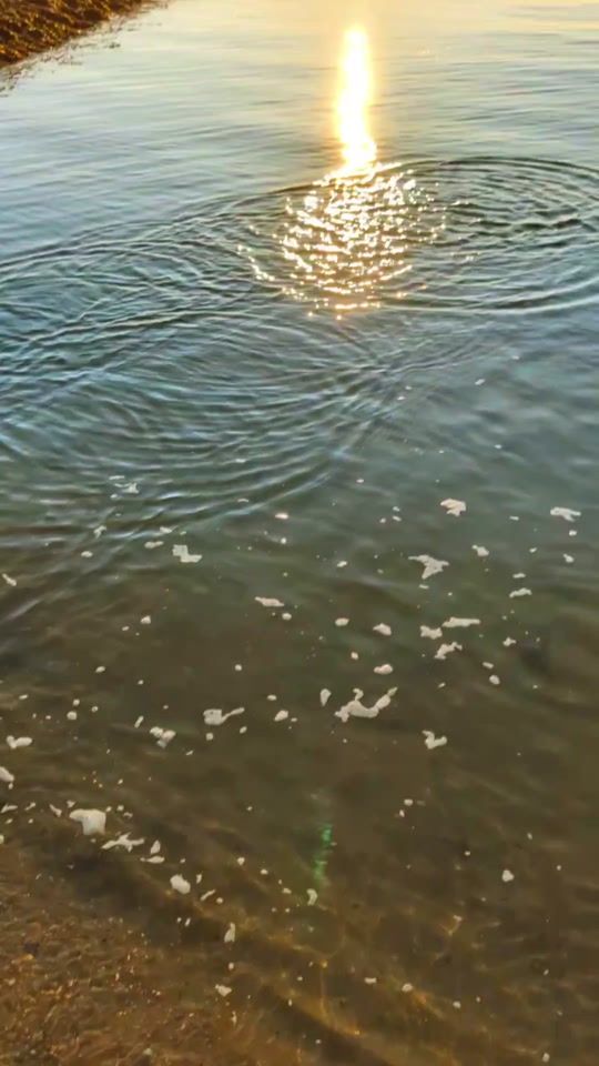 TikTok video thumbnail by jessicazippler
