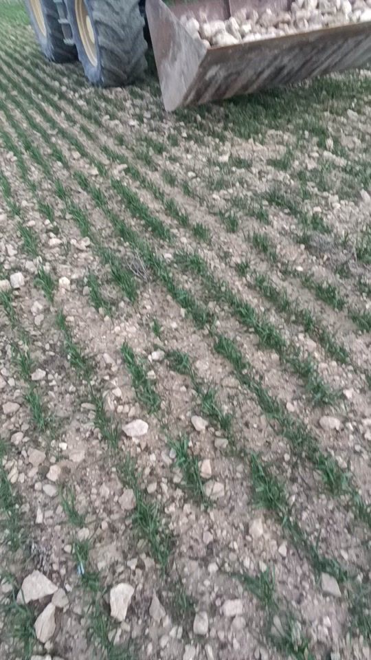 TikTok video thumbnail by agrojoseda