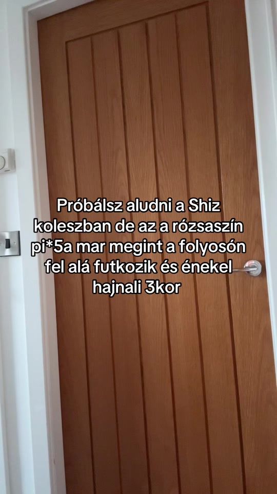 TikTok video thumbnail by itsferenc