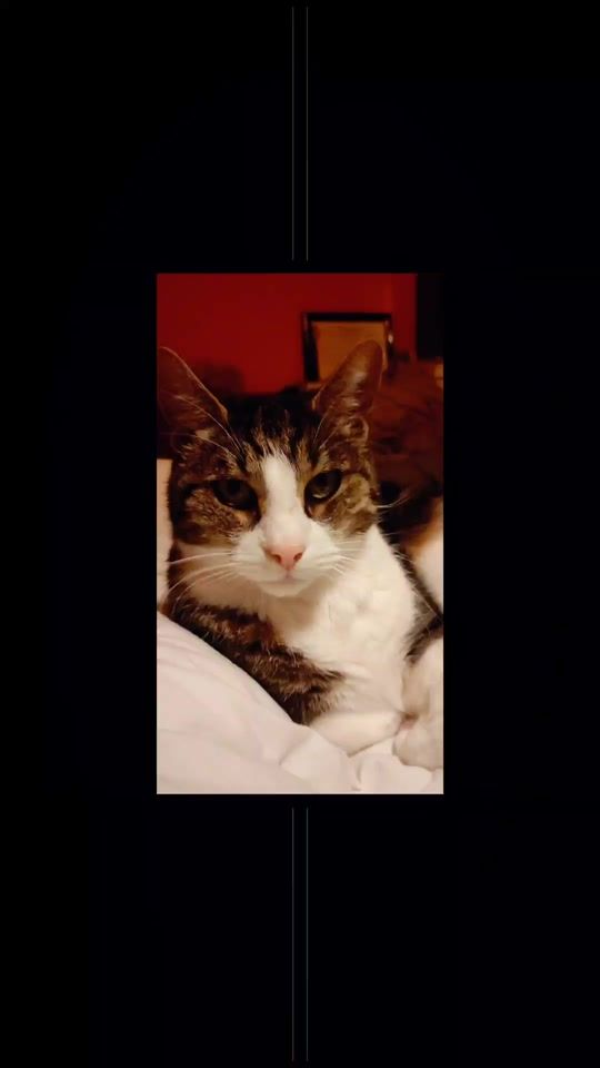 TikTok video thumbnail by simplykrystel