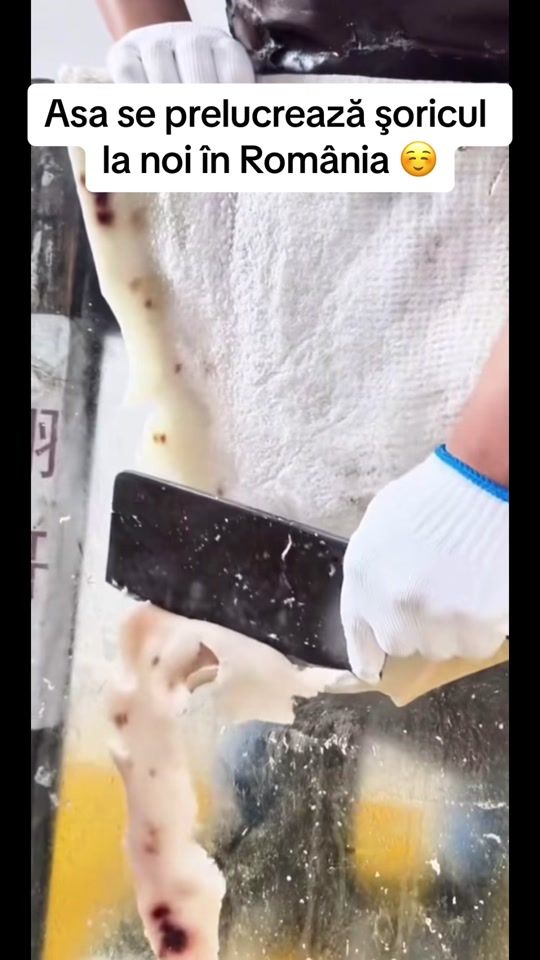 TikTok video thumbnail by ionutyo5