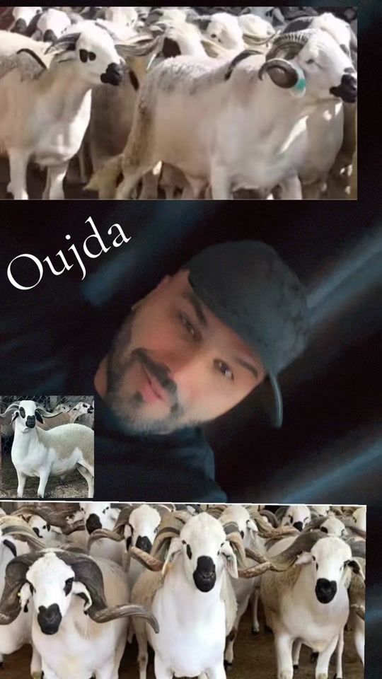 TikTok video thumbnail by abdel_rolex