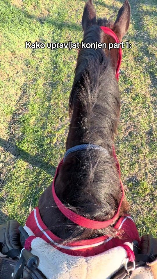 TikTok video thumbnail by pinkpineappleeee