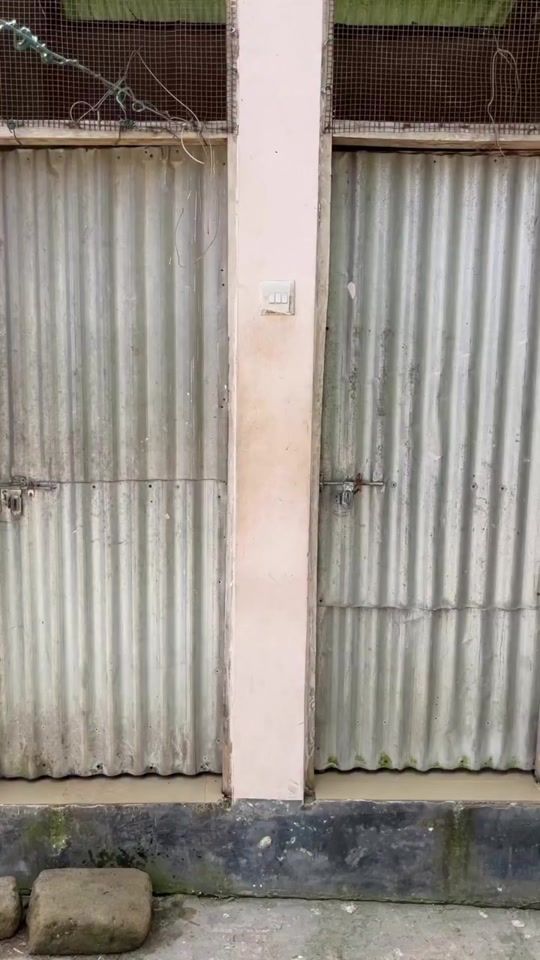 TikTok video thumbnail by maya.lebelge