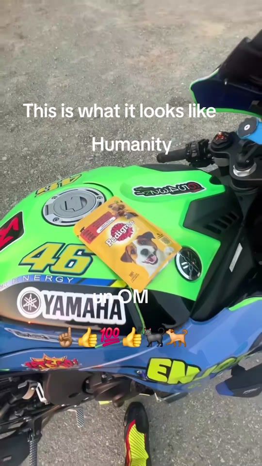 TikTok video thumbnail by hamadafadl179