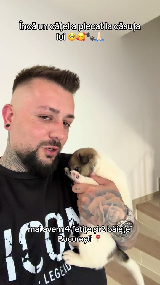 TikTok video thumbnail by raiulvulpitei