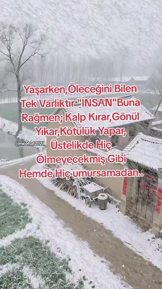 TikTok video thumbnail by nirehat2121