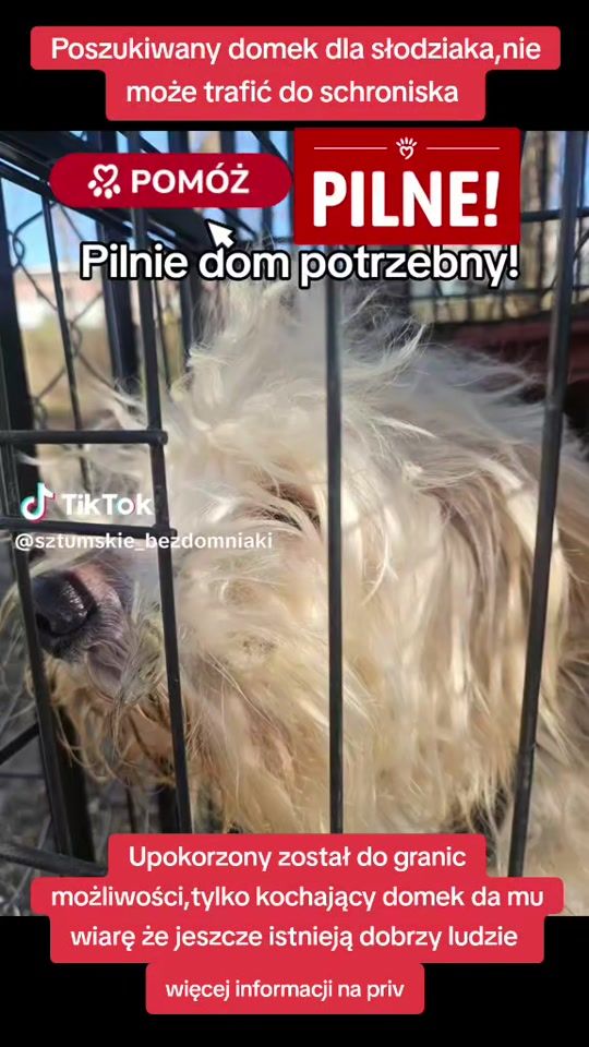 TikTok video thumbnail by iwka.pol111