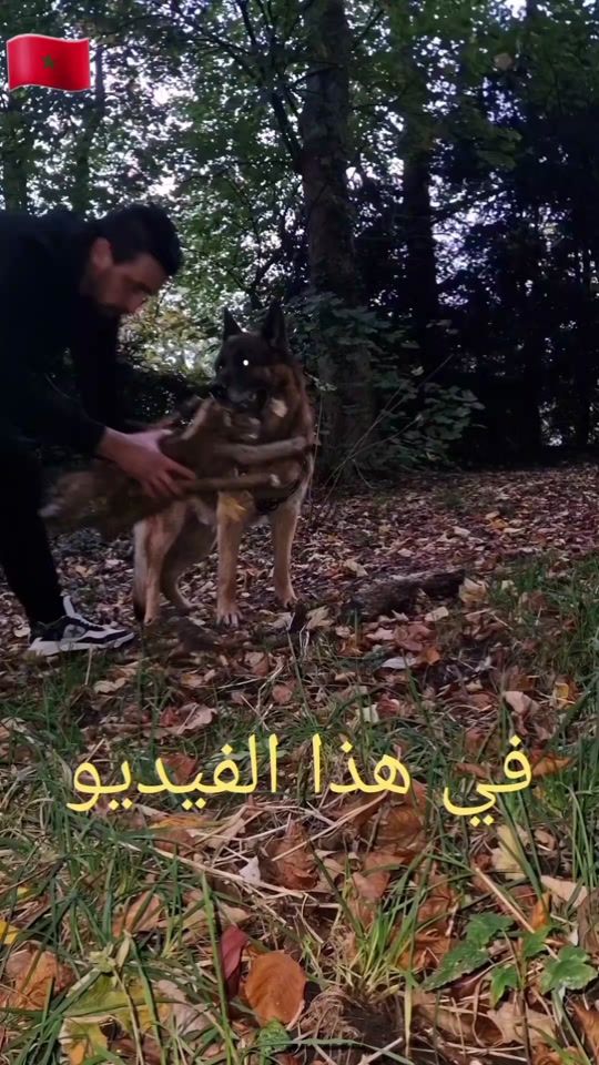 TikTok video thumbnail by yassinekadori2