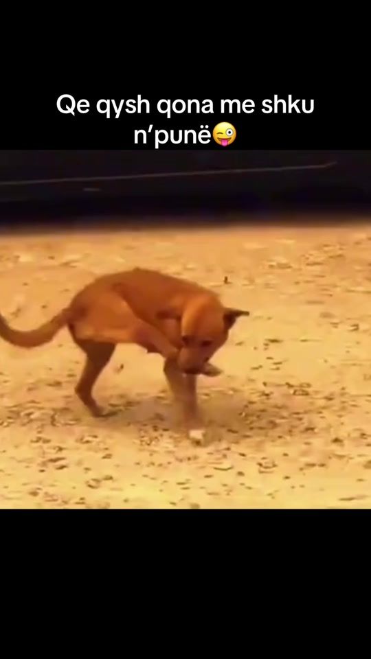 TikTok video thumbnail by visari78