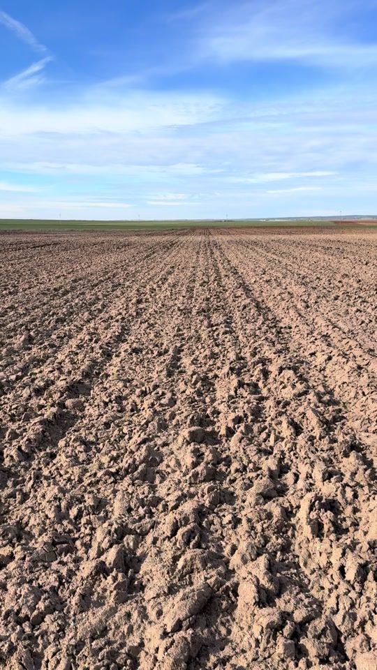 TikTok video thumbnail by user444654654466i9j