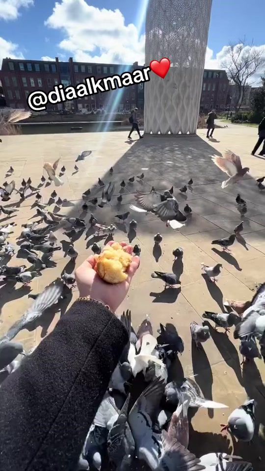 TikTok video thumbnail by diaalkmaar