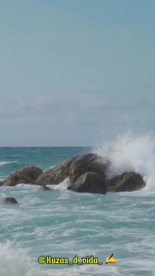 TikTok video thumbnail by kuzas.d.vida