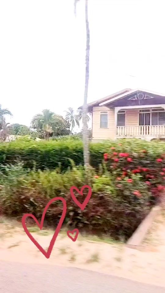 TikTok video thumbnail by cynthia1232011
